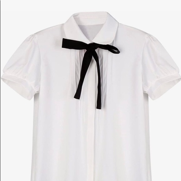 Chiffon Blouse - Picture 1 of 5